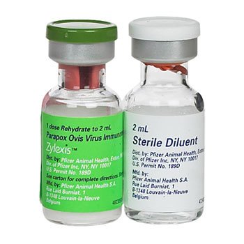 Zylexis Injection for Horses 2ml x 5