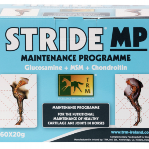 Stride MP 60 x 20g